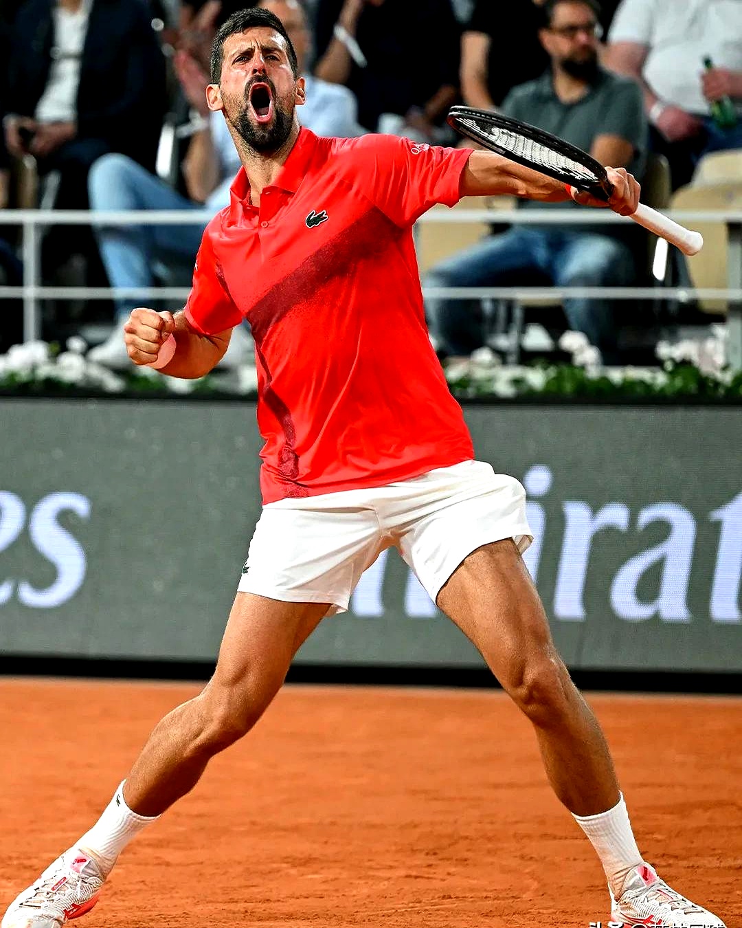 年终总决赛翻盘法网，德约科维奇惊艳四座