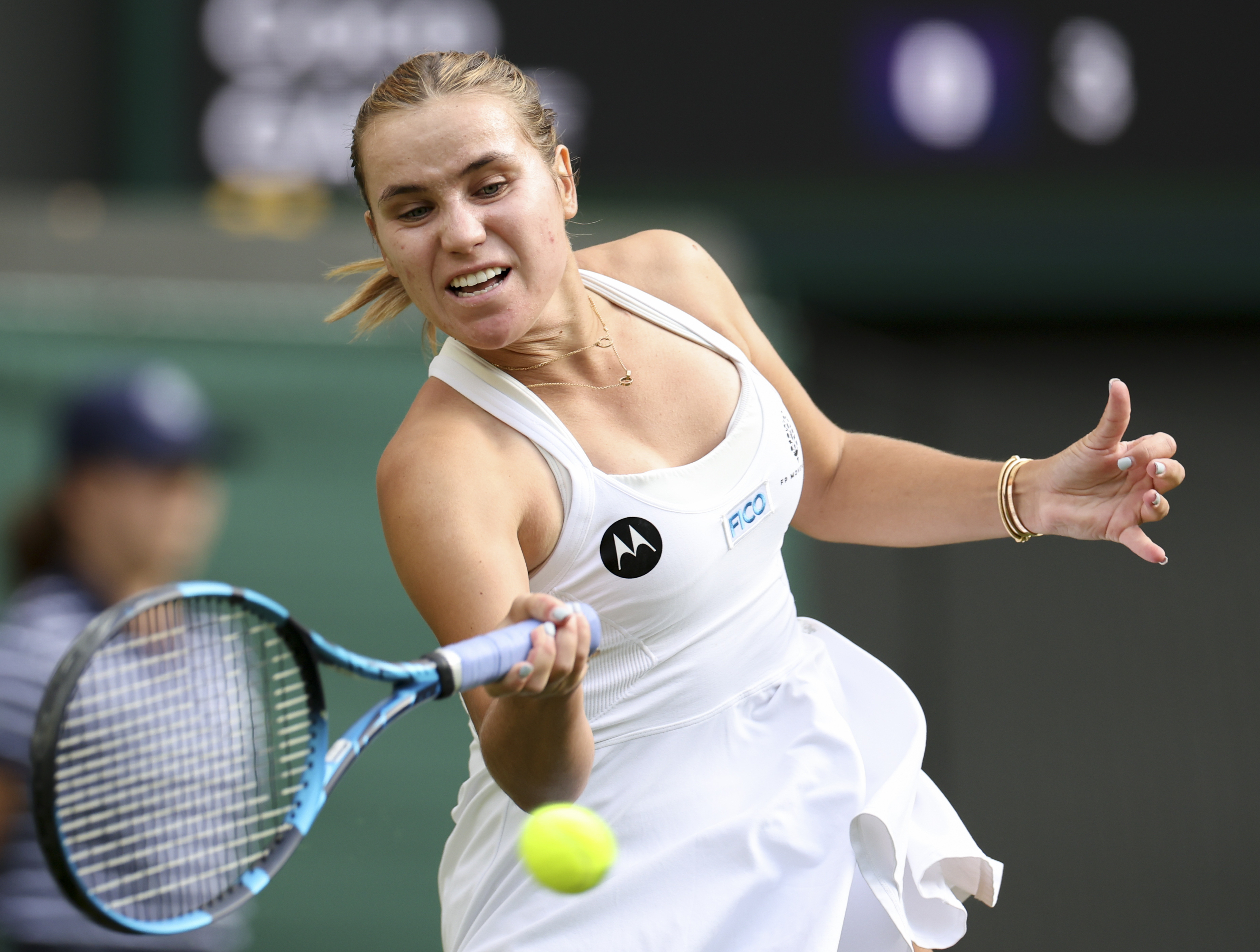 温网横扫法网，蒂姆高光表现